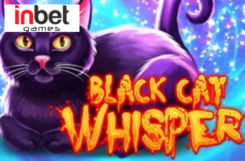 Black Cat Whisper